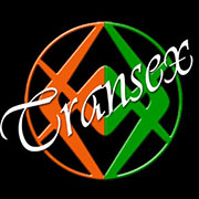 www.transexreggioemilia.it